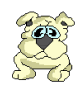 Buster