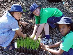 kids involved in Junior Landcare Program