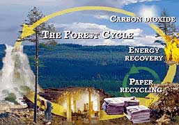 Paper recycling chart