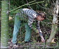 Protecting Big Scrub Rainforest