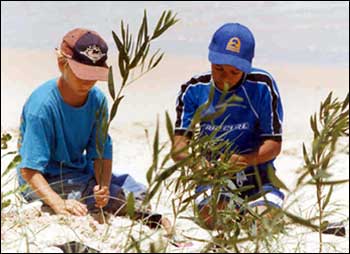 Boys planting trees in dunes