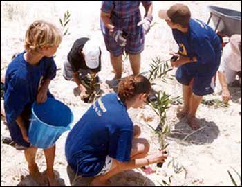 Coastcare volulnteers protecting dunes