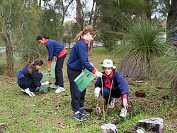 Kids involved in Junior Landcare program