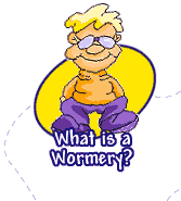 What is a Wormery?